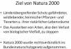 05 Natura 2000 und ICE Trassenvarianten 16