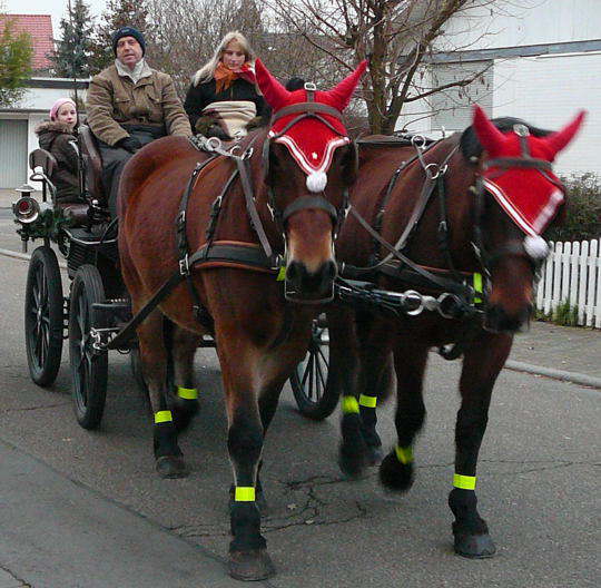 Dez 08 Weihnachtsbasar Htt 011a