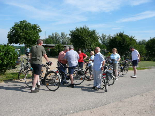 Juni 2008 Schotterwegbegehung Viernheimer Wald 