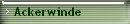 Ackerwinde