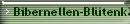 Bibernellen-Bltenkfer