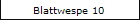 Blattwespe 10