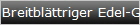 Breitblttriger Edel-Gamander X
