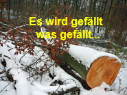 Es wird gefällt was gefällt