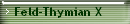 Feld-Thymian X