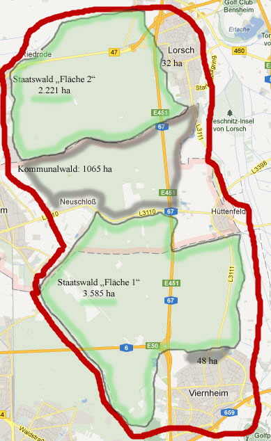 Fläche 1 und 2 Kernflächen Hessen-Forst Lampertheim Kopie