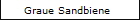 Graue Sandbiene
