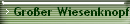 Groer Wiesenknopf