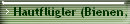 Hautflgler (Bienen, Wespen)