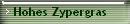 Hohes Zypergras