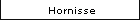 Hornisse
