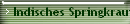 Indisches Springkraut