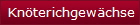 Knöterichgewächse