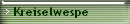 Kreiselwespe