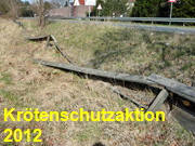 Kröten 2012
