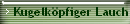 Kugelkpfiger Lauch