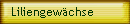 Liliengewchse