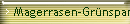 Magerrasen-Grnspanner