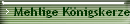 Mehlige Knigskerze