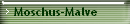 Moschus-Malve 