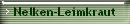 Nelken-Leimkraut