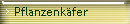 Pflanzenkäfer