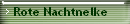 Rote Nachtnelke