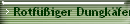 Rotfiger Dungkfer