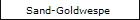 Sand-Goldwespe