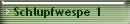 Schlupfwespe 1