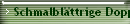 Schmalblättrige Doppelsame X
