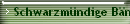 Schwarzmündige Bänderschnecke