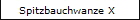 Spitzbauchwanze X