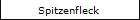 Spitzenfleck