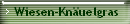 Wiesen-Knäuelgras