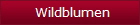 Wildblumen