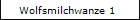 Wolfsmilchwanze 1
