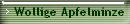 Wollige Apfelminze