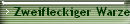 Zweifleckiger Warzenkfer