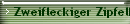 Zweifleckiger Zipfelkfer