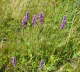 Heil-Ziest Wasserkuppe, Hessen Urlaub 2009 chwsr 042
