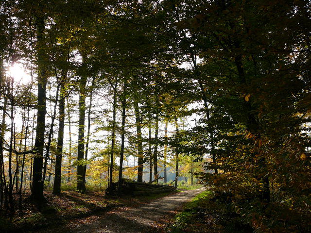 Oktober 2009