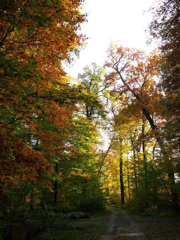 Oktober 2009