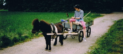 Teddy beim Grünfutterholen und "Rolle" Marke Eigenbau